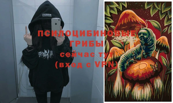 твердый Балахна