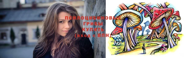 твердый Балахна