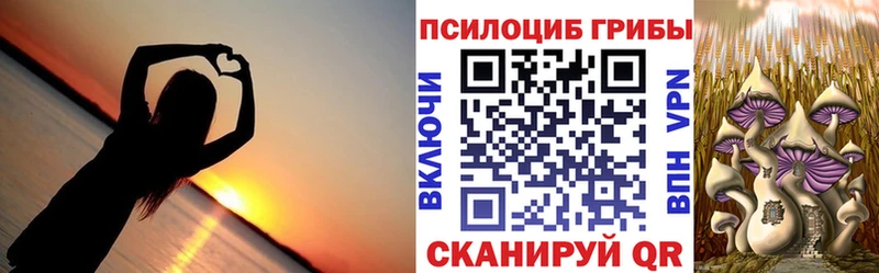 Псилоцибиновые грибы мухоморы Кубинка