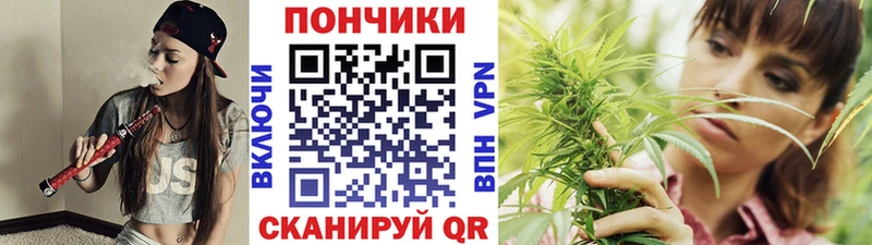 Канабис ГИДРОПОН  купить   Кубинка 